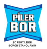 PİLER BOR